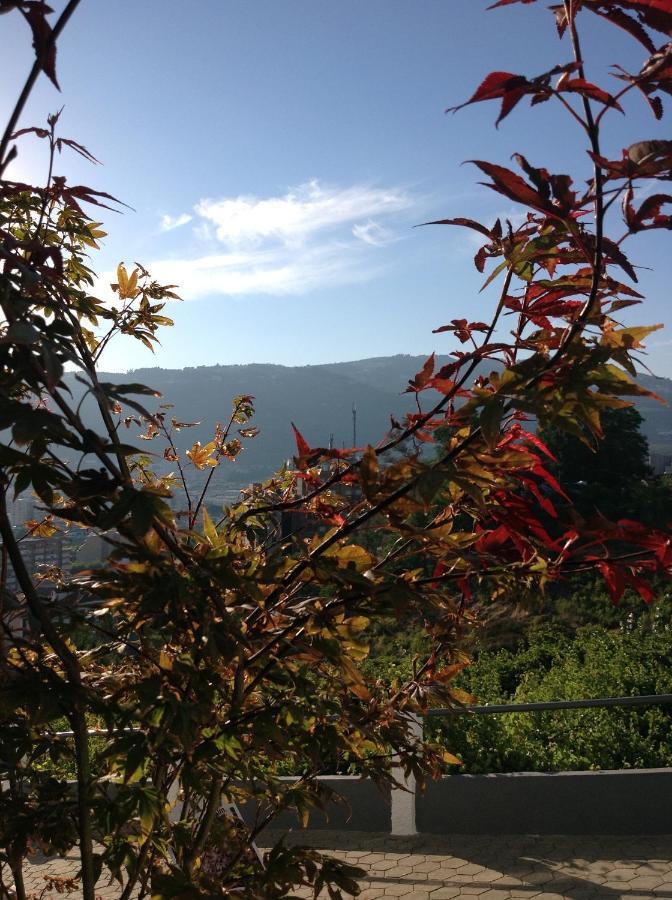 Douro Vally Inn Peso da Régua Exterior photo